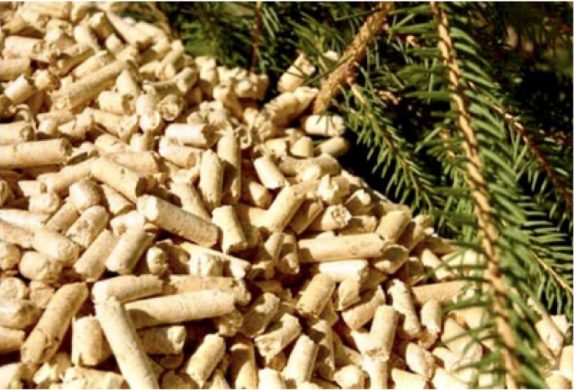 Holzpellets Holzpresslinge aus Sägespänen mit Baumästen  Biomasse-Blockheizkraftwerke Wegscheid Entrenco